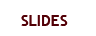 SLIDES